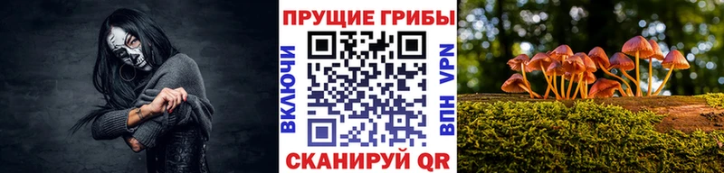 Псилоцибиновые грибы мухоморы  Купить закладки  Осинники 
